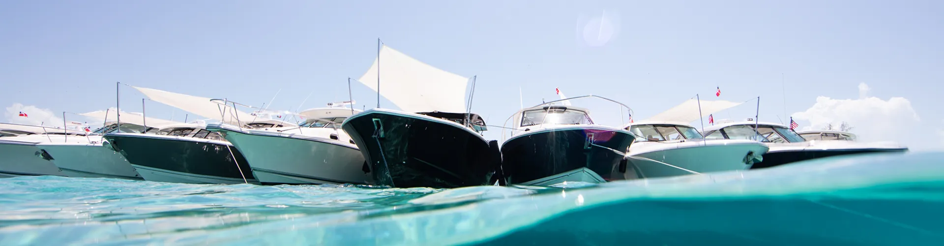 Thank you Header Image